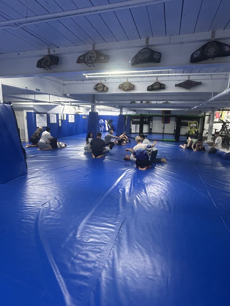 Seminar participants gathered on the blue mats at North Georgia Hayastan MMA Academy in Dalton, Georgia, during a women’s self-defense seminar led by Leonardo Lechuga